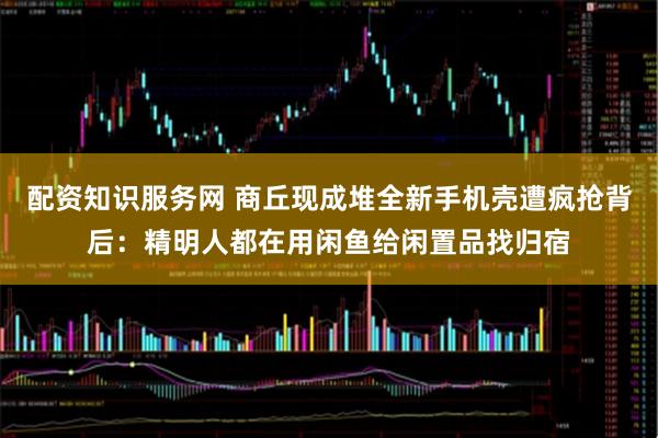 配资知识服务网 商丘现成堆全新手机壳遭疯抢背后：精明人都在用闲鱼给闲置品找归宿
