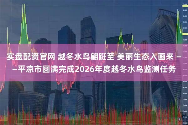 实盘配资官网 越冬水鸟翩跹至 美丽生态入画来 ——平凉市圆满完成2026年度越冬水鸟监测任务